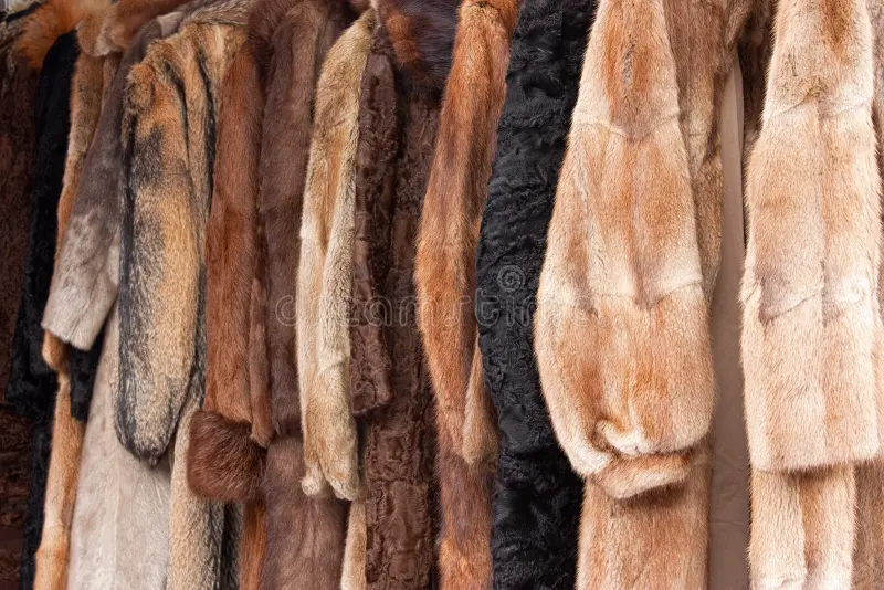 Collection of premium animal-shaped coats for men and women